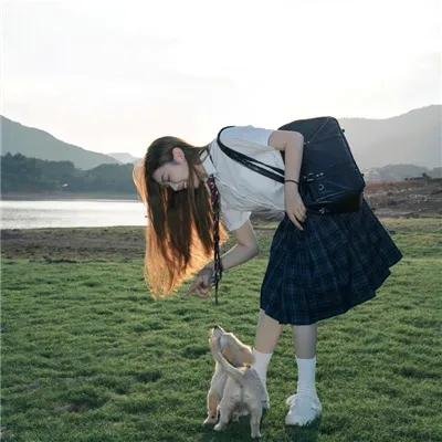 海燕双飞